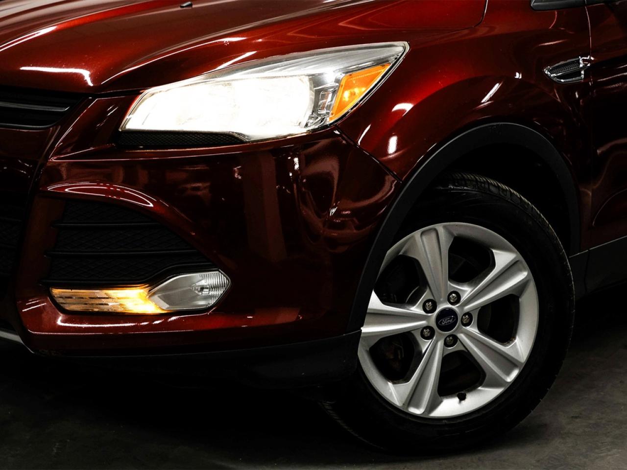 2014 Ford Escape  Photo2