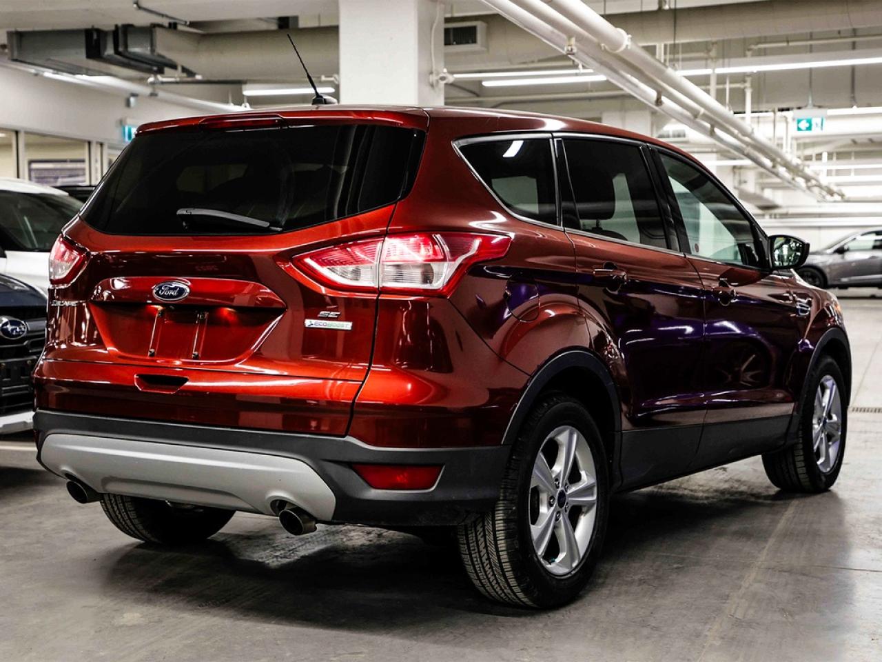 2014 Ford Escape  Photo