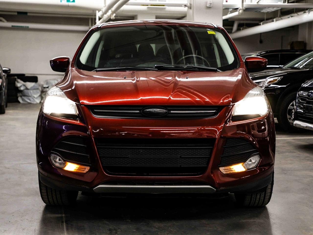 2014 Ford Escape  Photo3