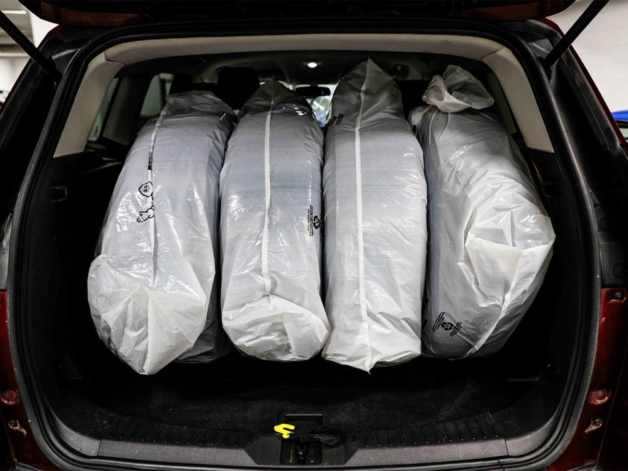 2014 Ford Escape  Photo