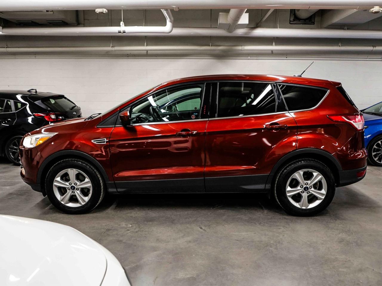 2014 Ford Escape  Photo