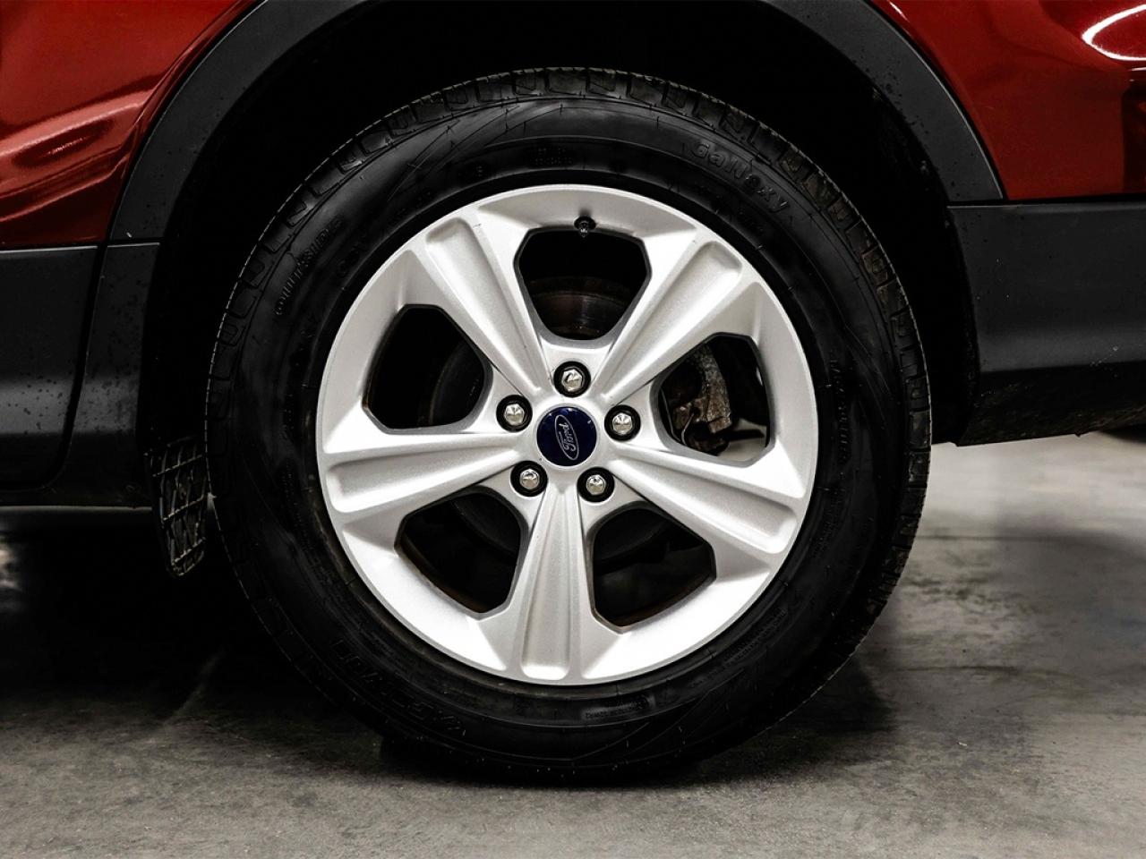 2014 Ford Escape  Photo