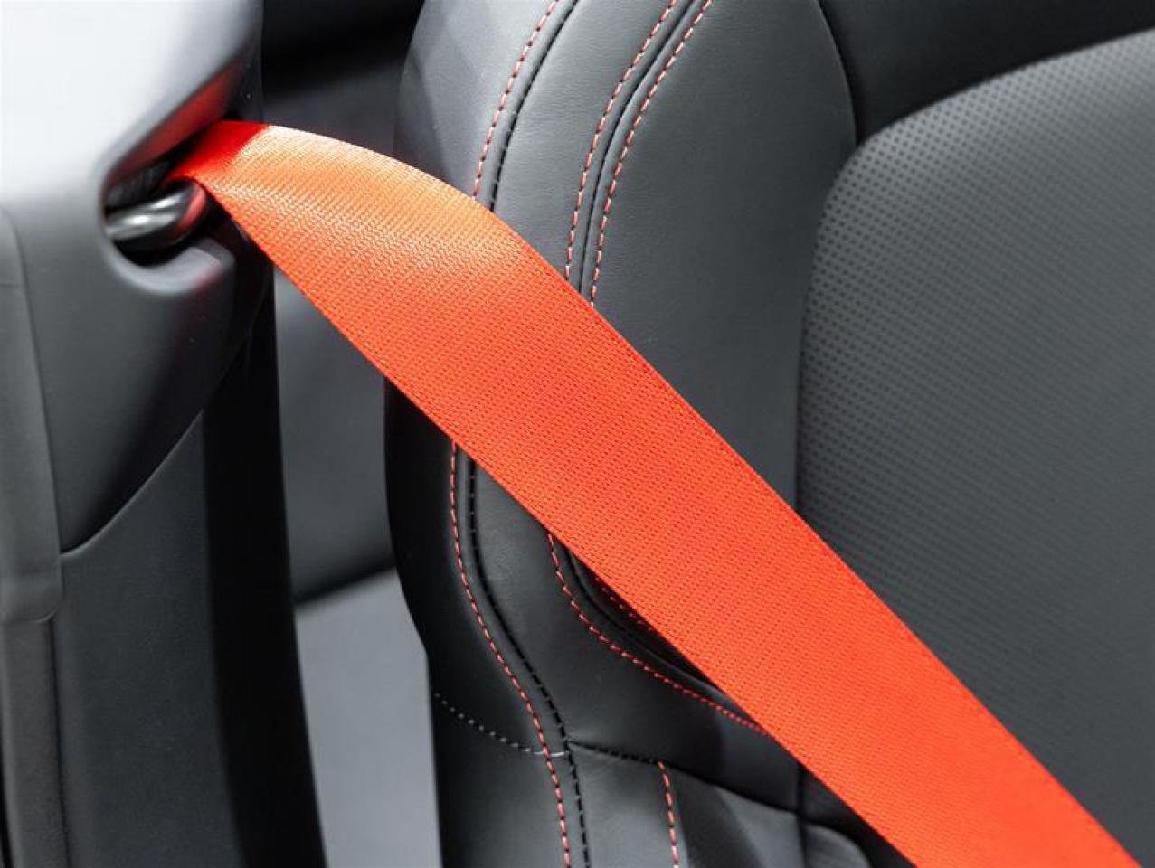 2025 Porsche 911  Photo