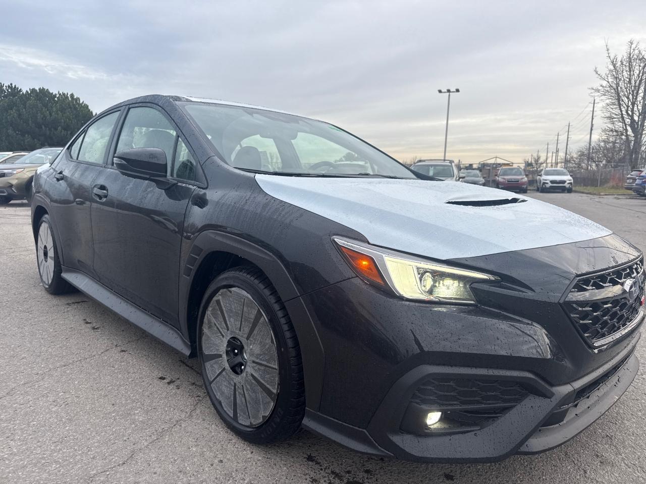 2025 Subaru WRX GT (CVT) 4dr All-Wheel Drive Sedan Photo3