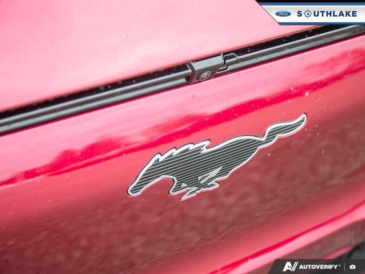 2025 Ford Mustang Mach-E Premium 4dr All-Wheel Drive Photo