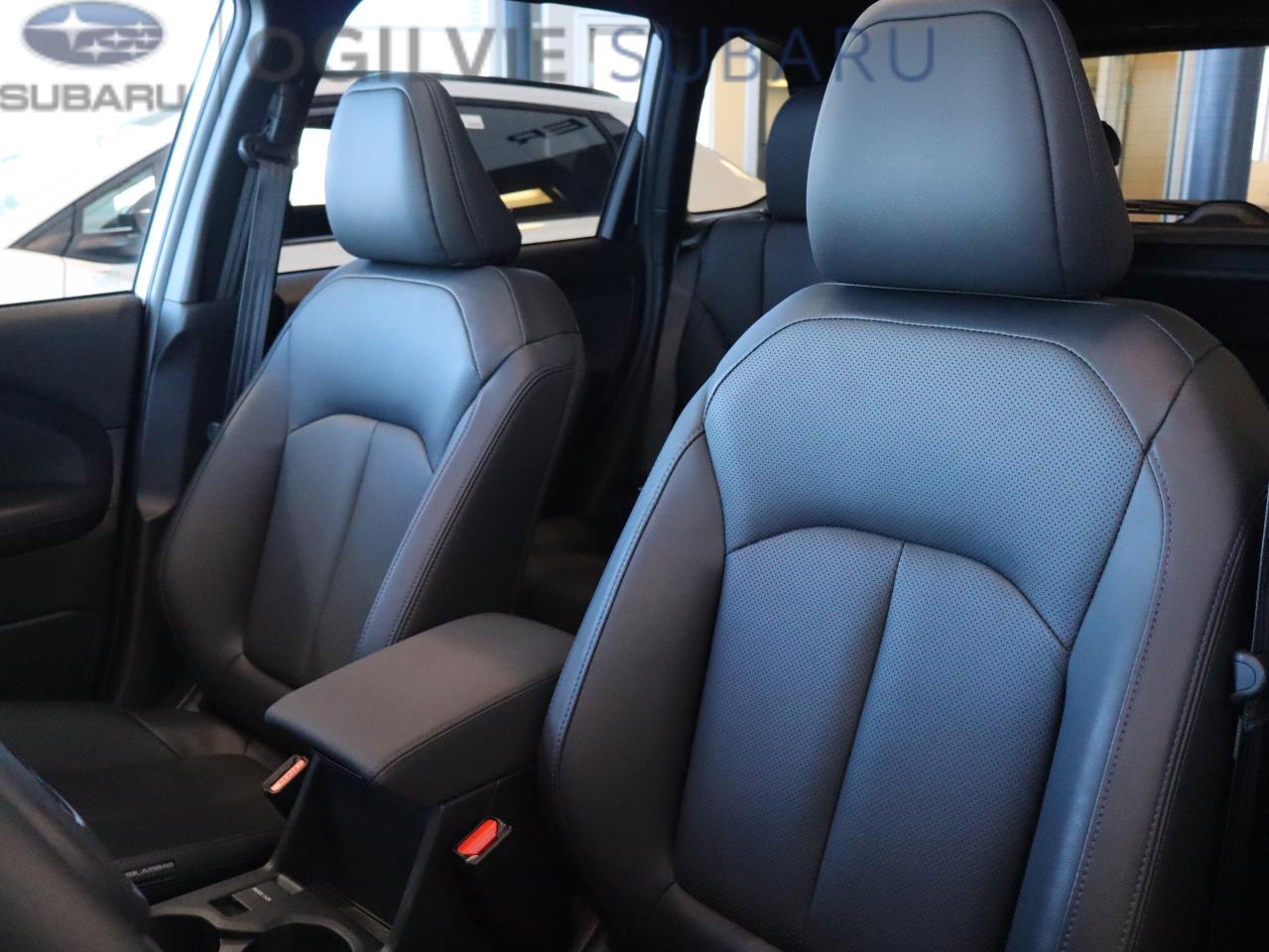 2025 Subaru Forester Limited 4dr All-Wheel Drive Photo