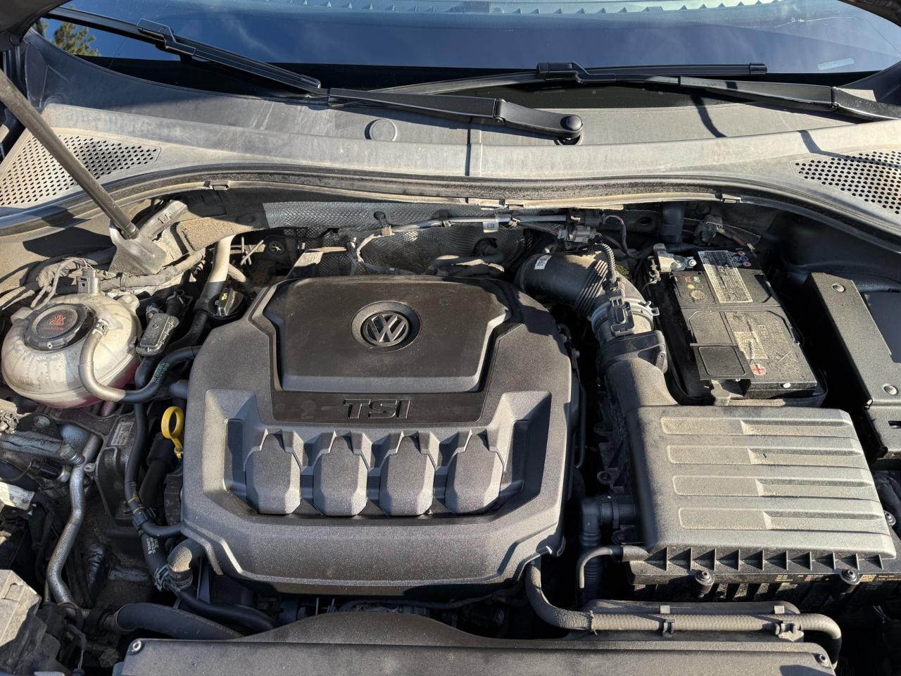 2022 Volkswagen Tiguan Comfortline 4dr All-wheel Drive 4MOTION Photo