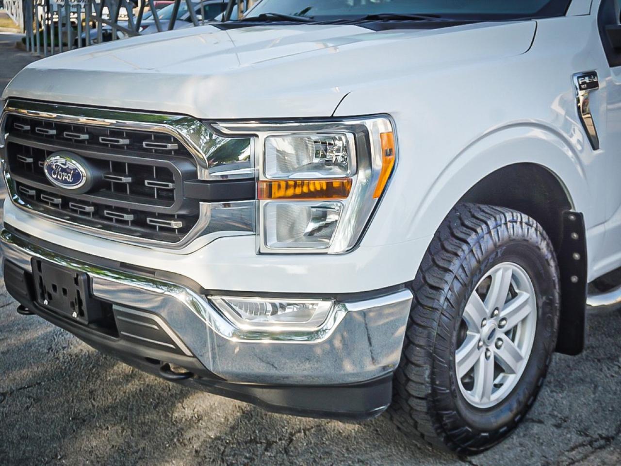 2021 Ford F-150  Photo
