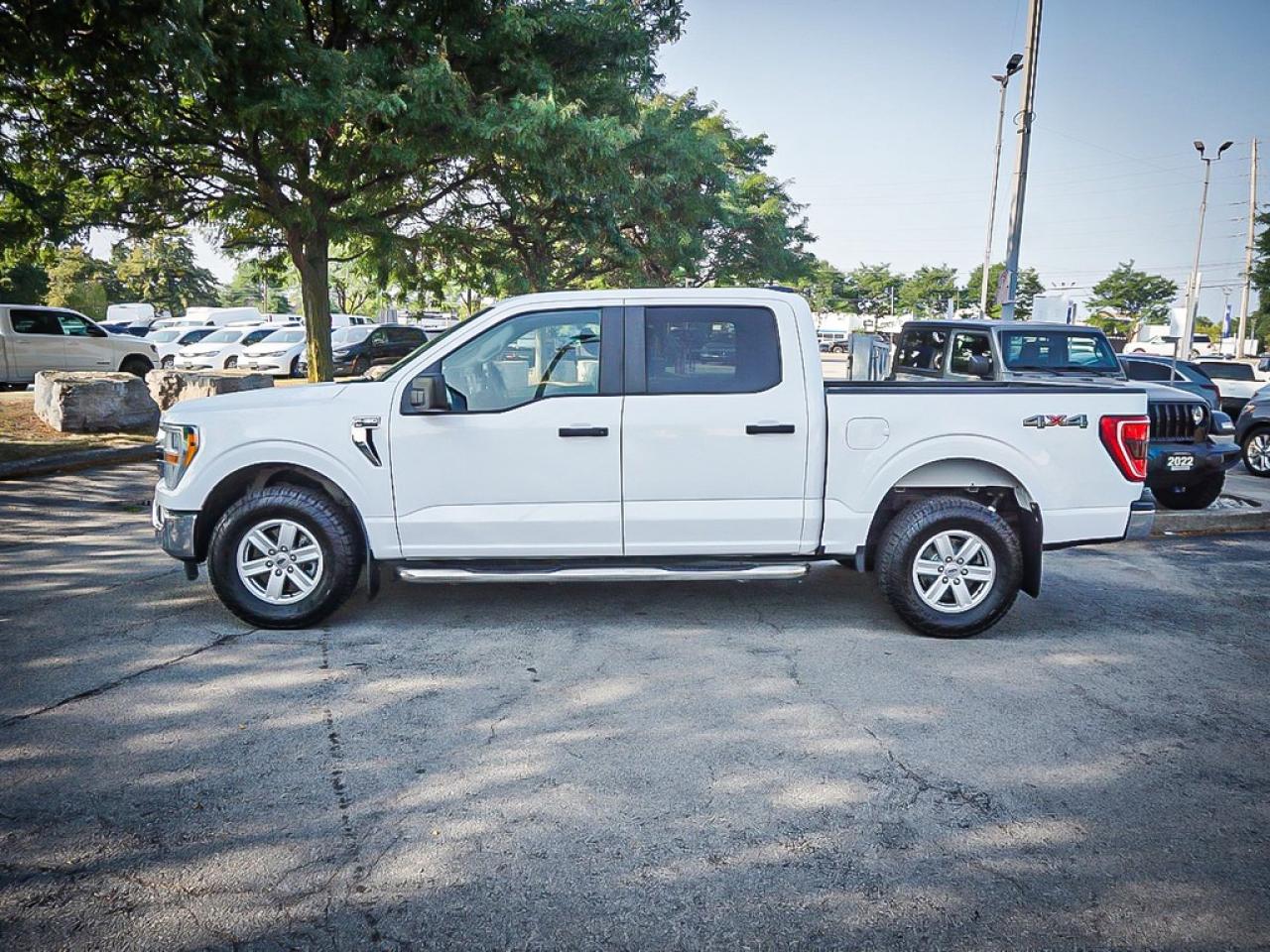 2021 Ford F-150  Photo