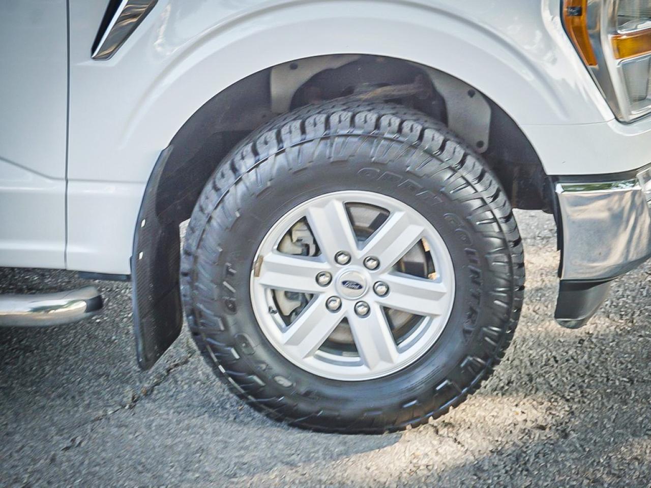 2021 Ford F-150  Photo