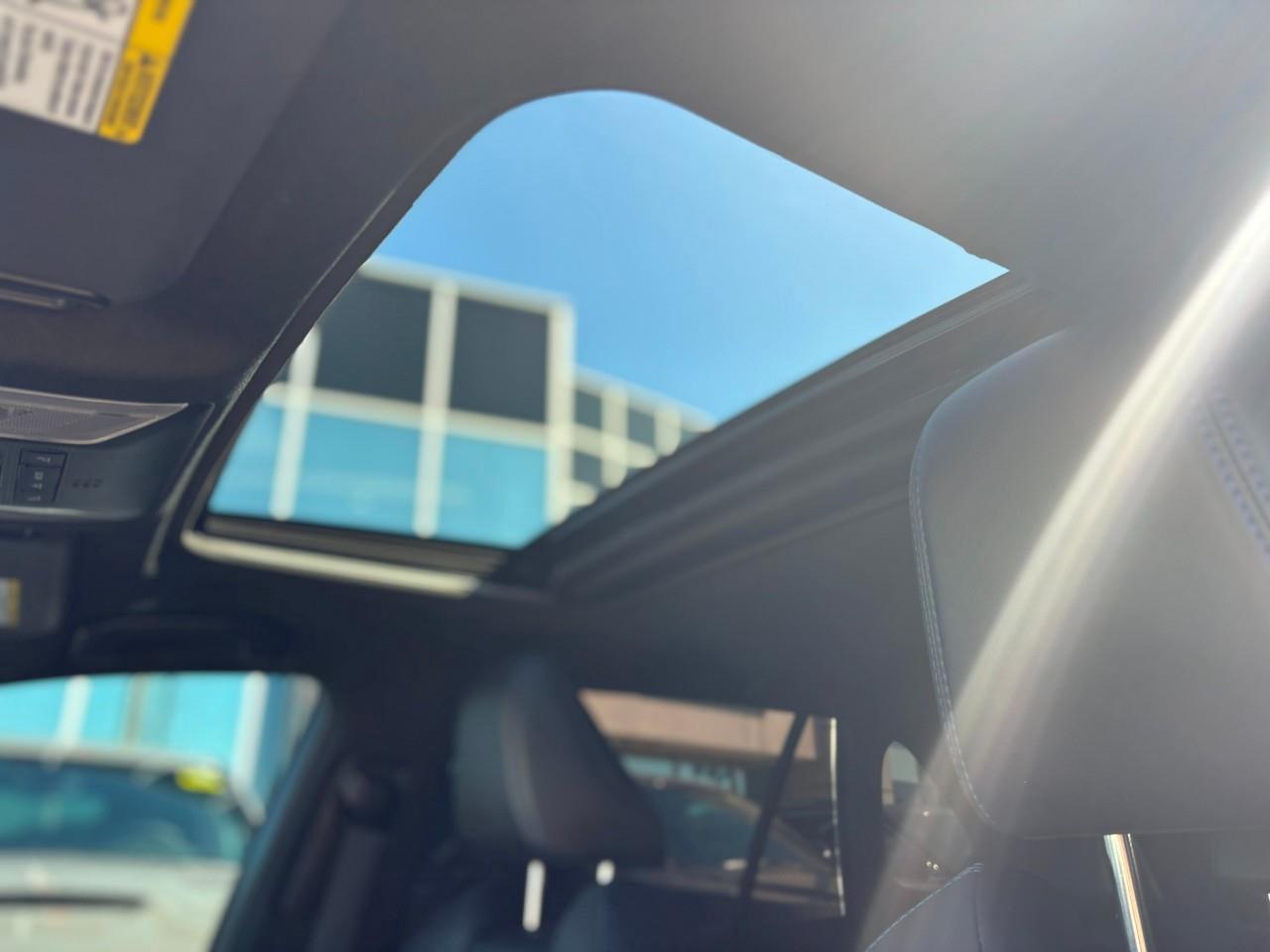 2023 Toyota RAV4 Hybrid XSE 4dr All-Wheel Drive Photo