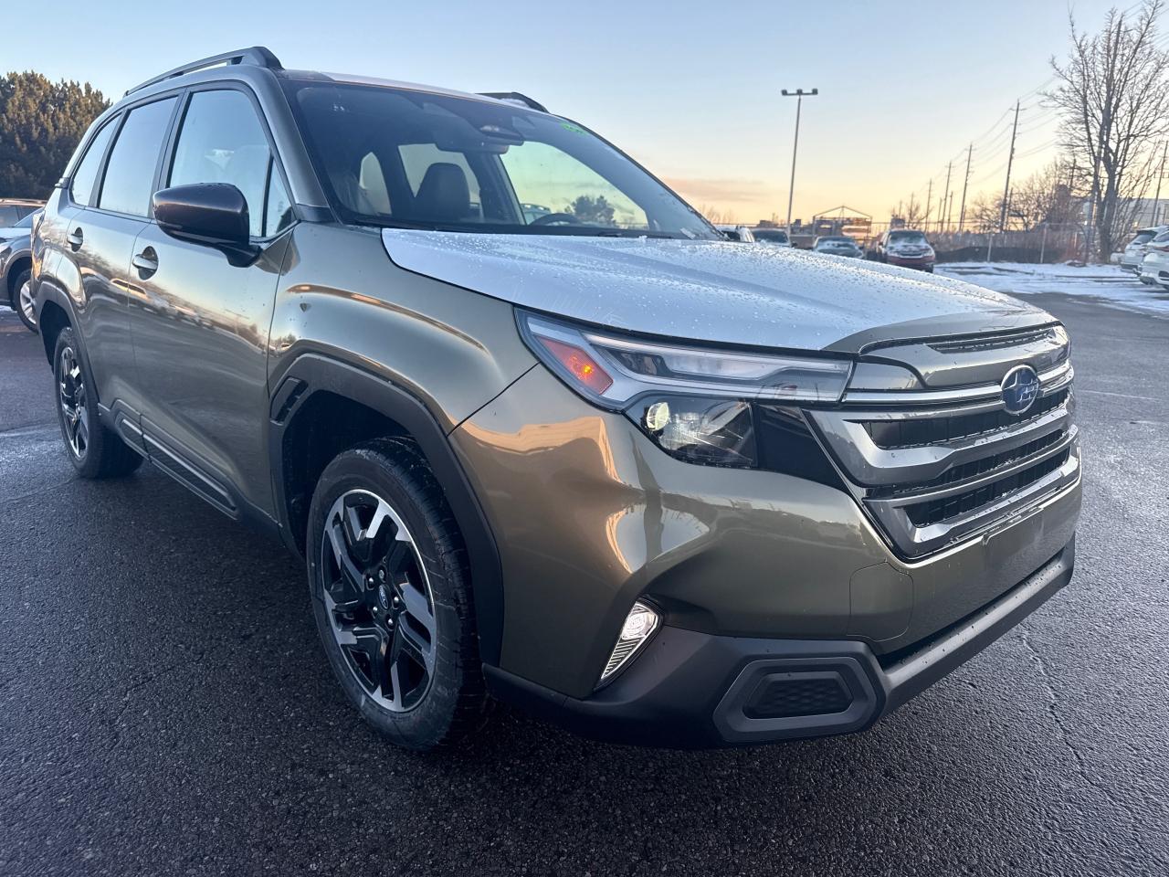 2026 Subaru Forester Limited 4dr All-Wheel Drive Photo3