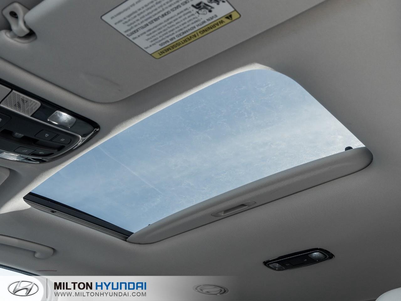 2022 Hyundai PALISADE Luxury 8 Passenger 4dr All-Wheel Drive Photo