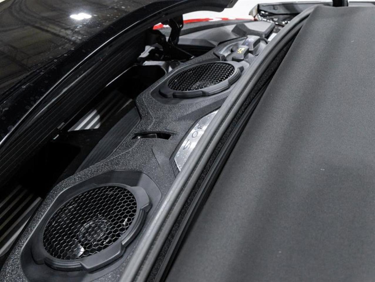 2025 Porsche 911  Photo