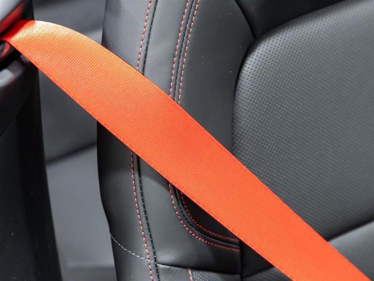 2025 Porsche 911  Photo