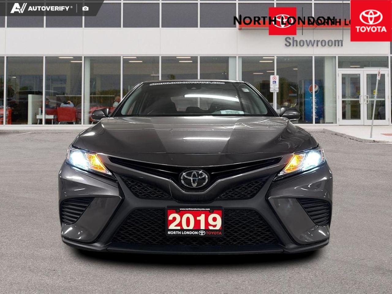 2019 Toyota Camry  Photo