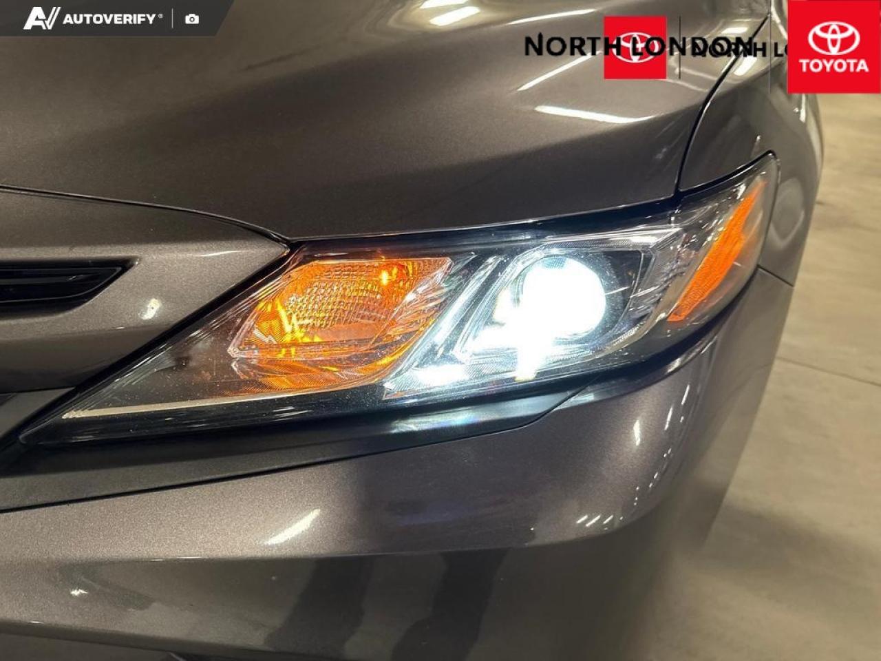 2019 Toyota Camry  Photo