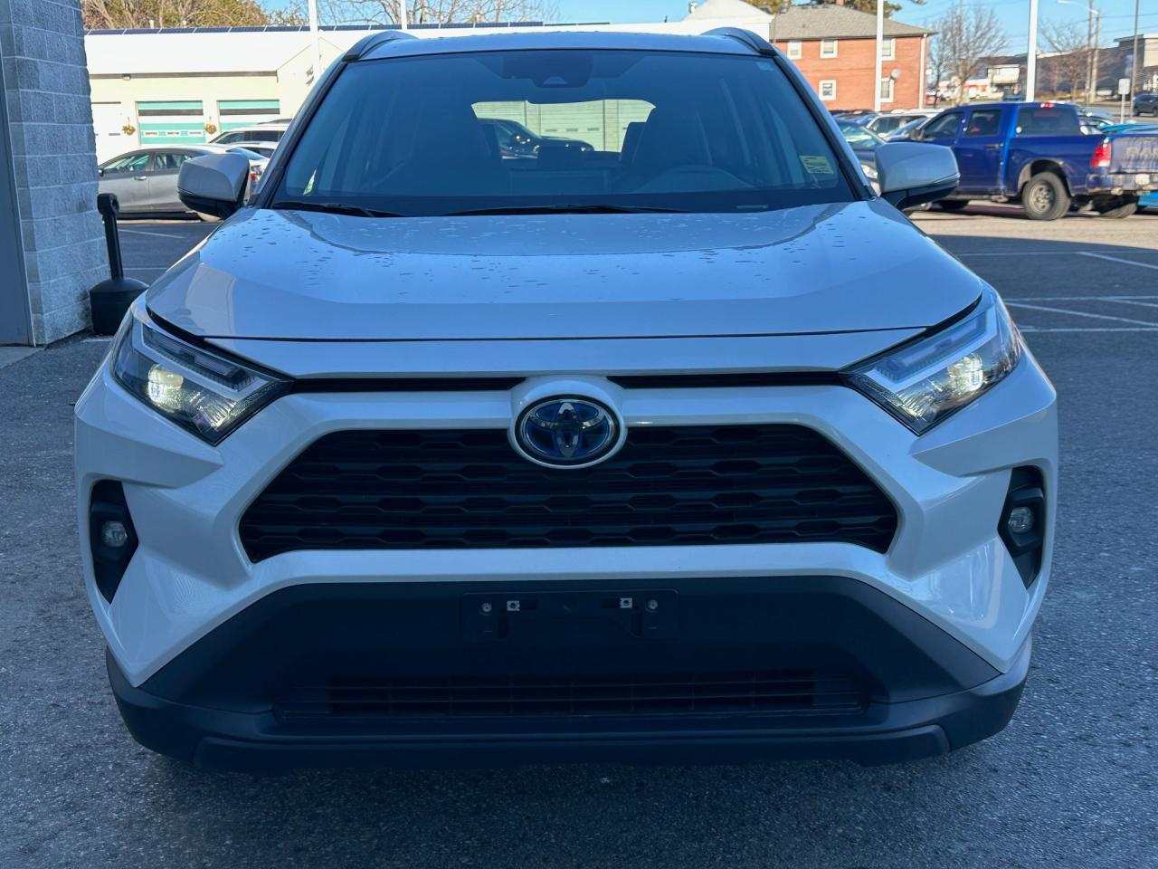 2024 Toyota RAV4 Hybrid XLE 4dr All-Wheel Drive Photo