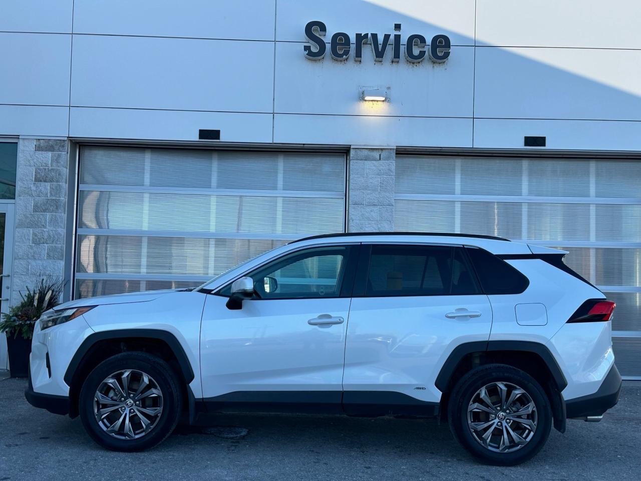 2024 Toyota RAV4 Hybrid XLE 4dr All-Wheel Drive Photo3