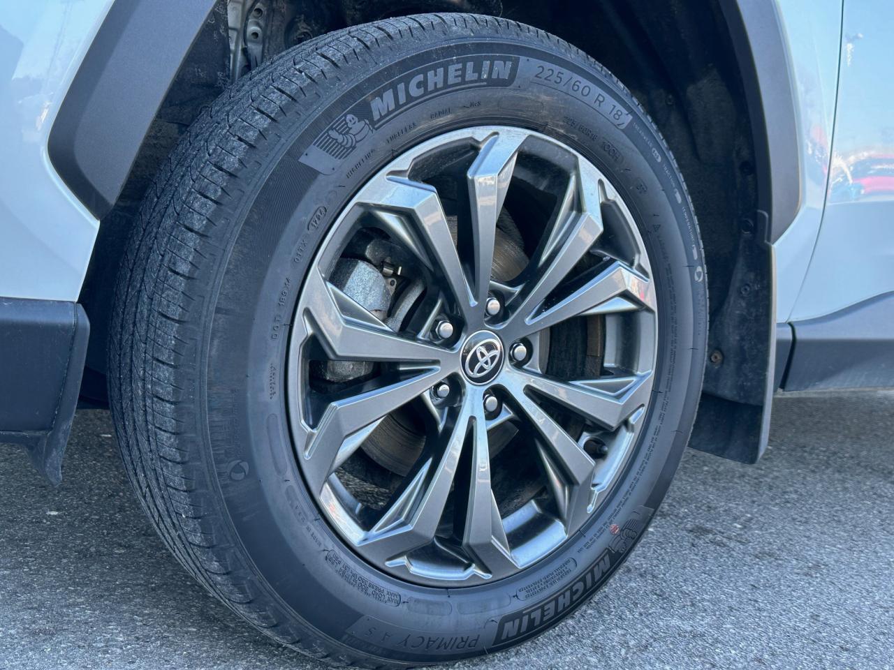 2024 Toyota RAV4 Hybrid XLE 4dr All-Wheel Drive Photo