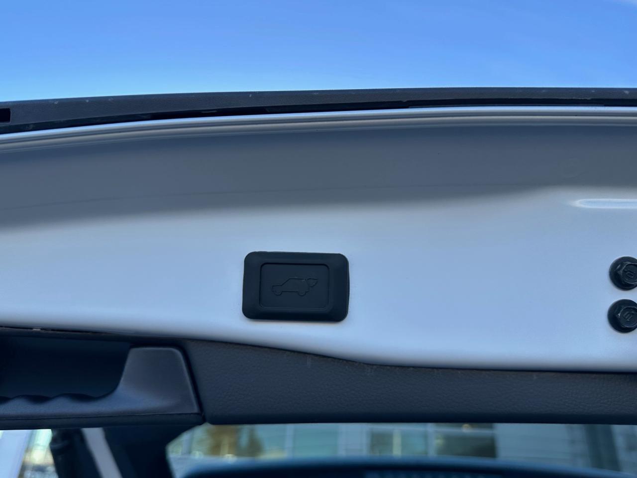 2024 Toyota RAV4 Hybrid XLE 4dr All-Wheel Drive Photo