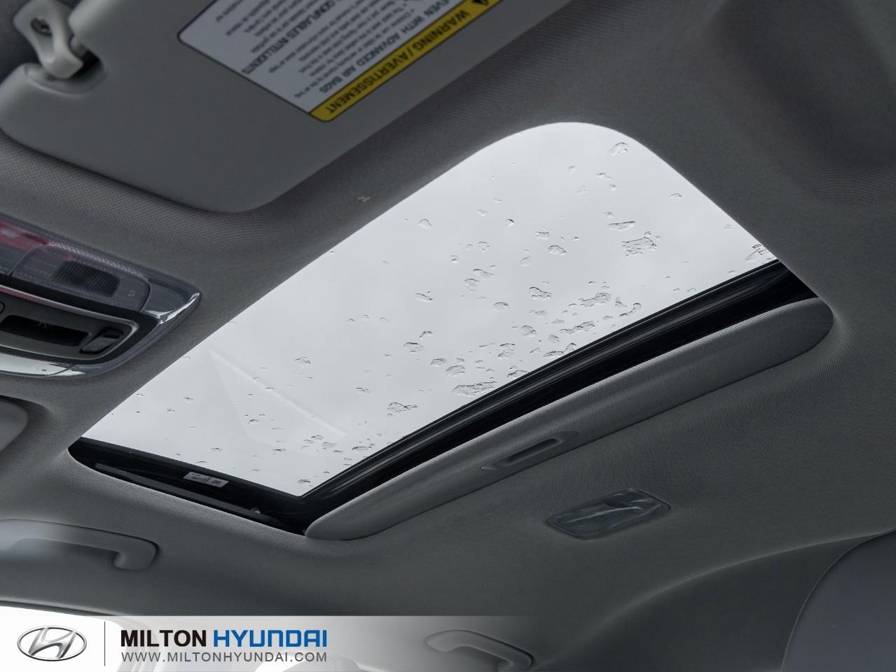 2026 Hyundai Elantra  Photo