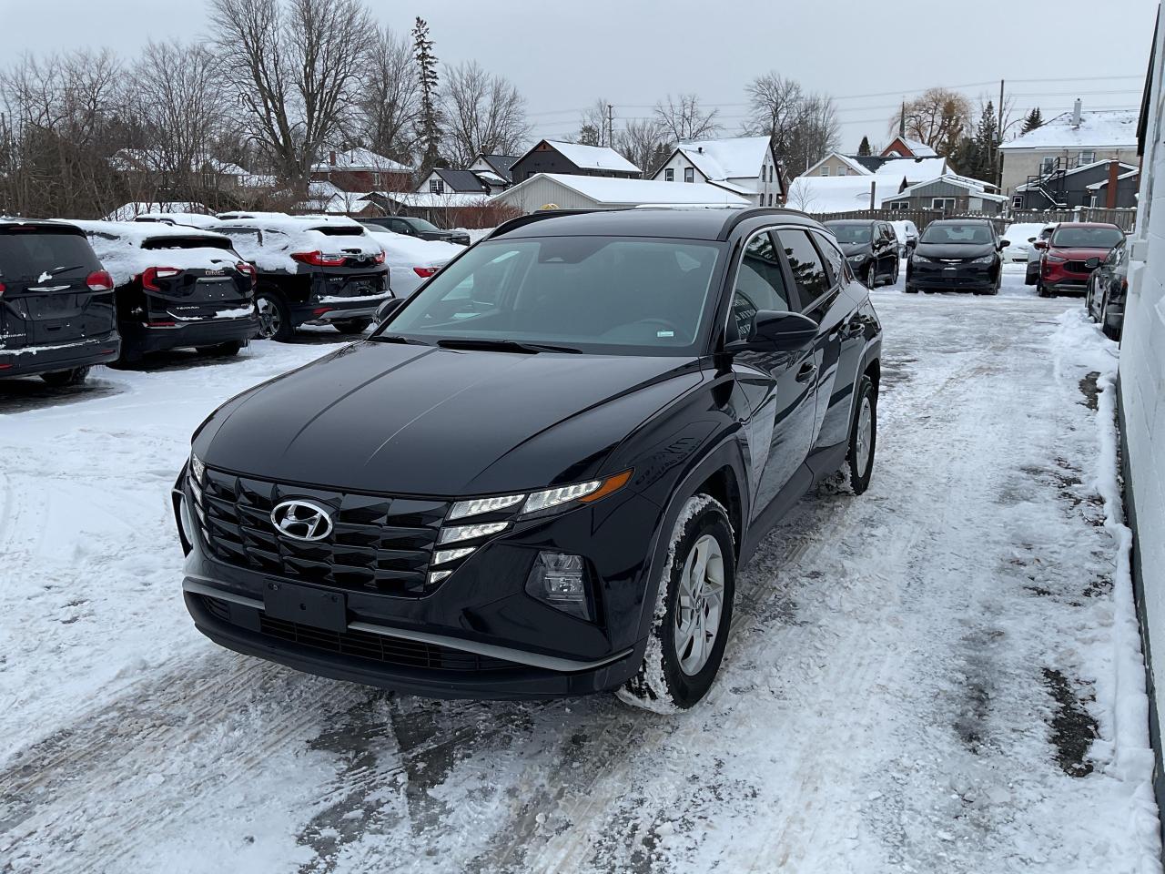 2023 Hyundai Tucson  Photo