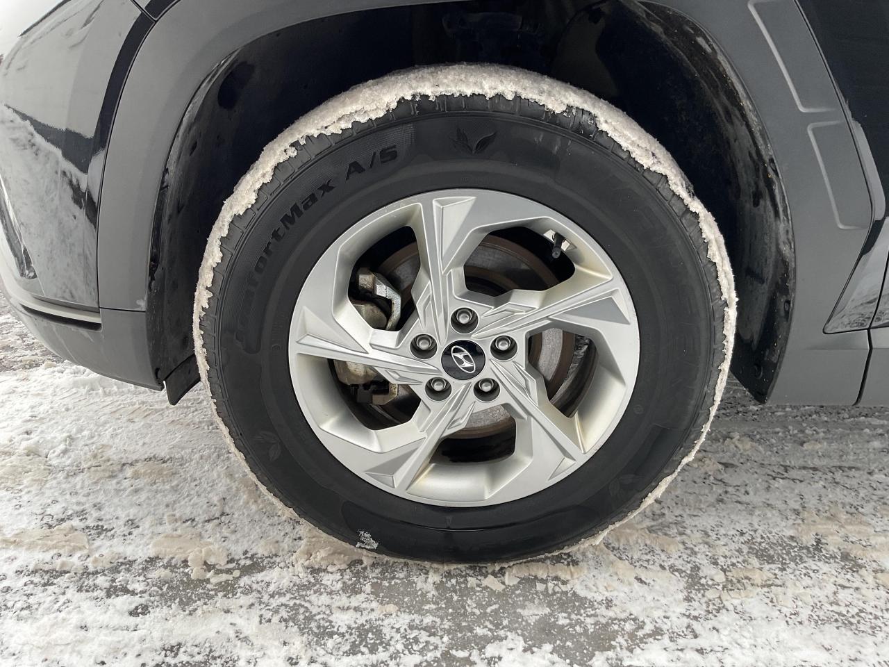 2023 Hyundai Tucson  Photo