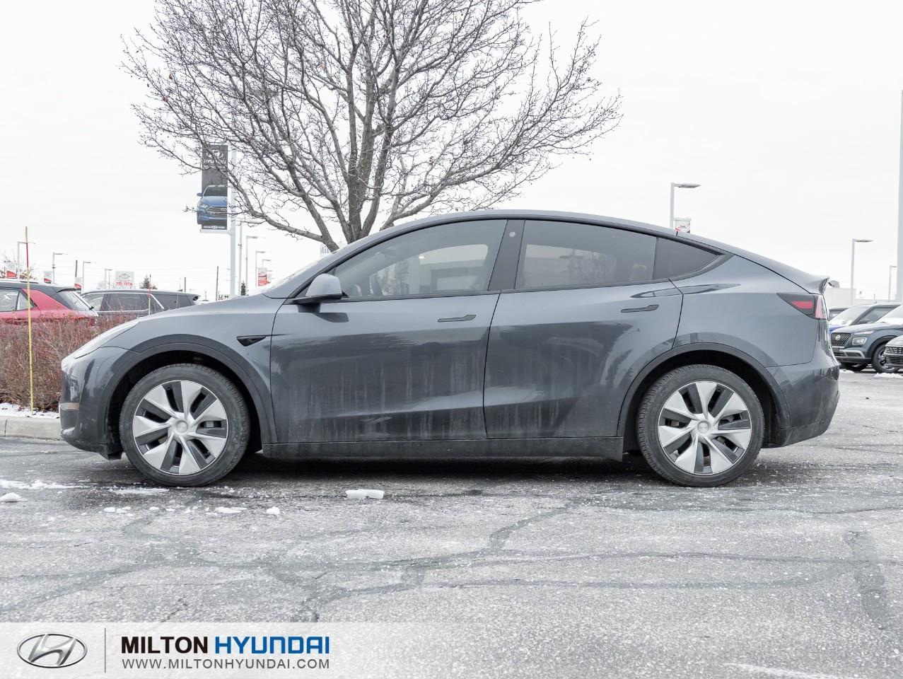 2022 Tesla Model Y Long Range 4dr All-Wheel Drive Sport Utility Photo