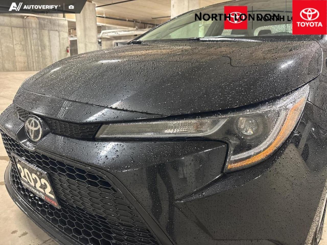 2022 Toyota Corolla  Photo