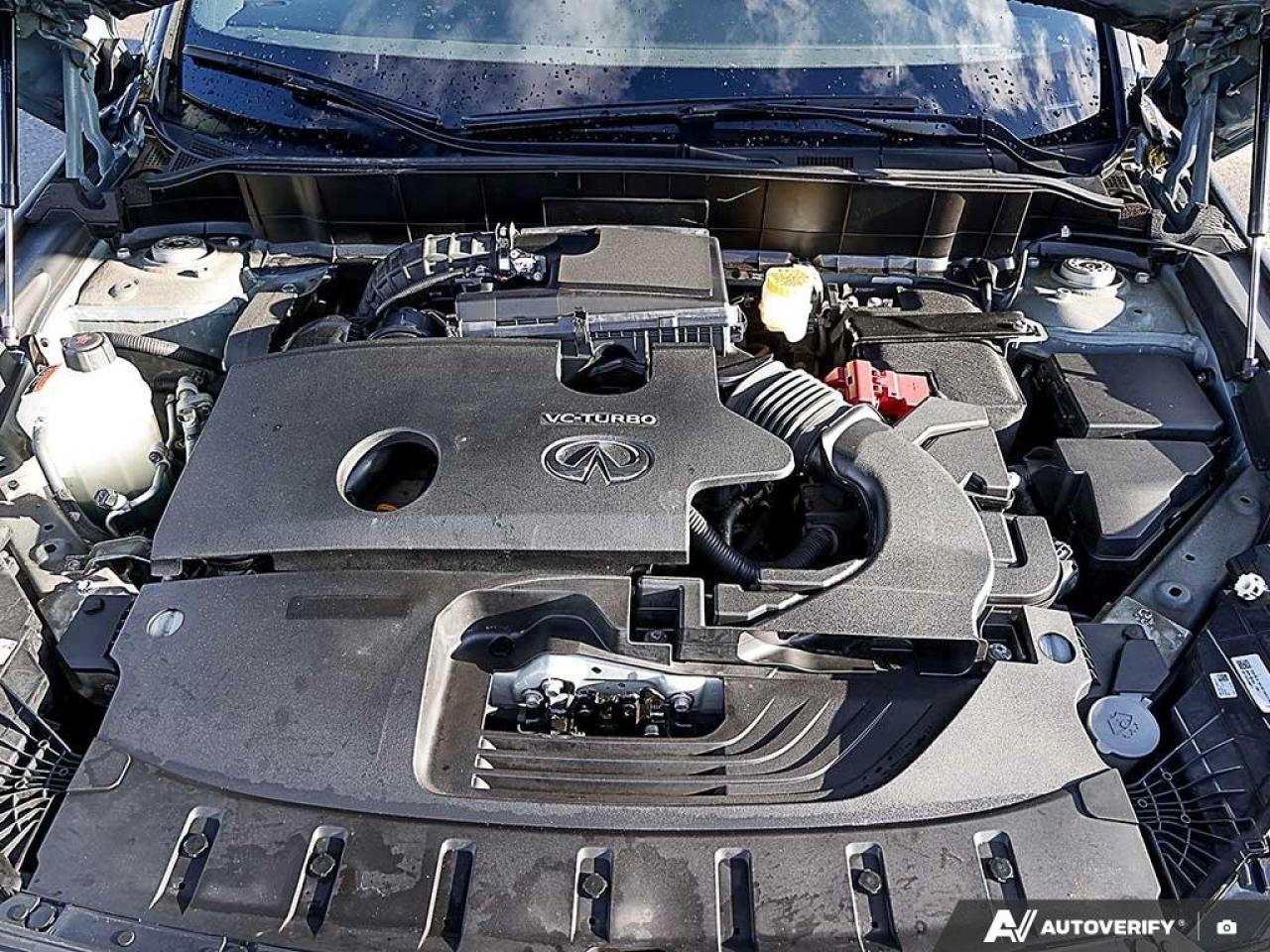 2023 Infiniti QX50 SPORT AWD Photo