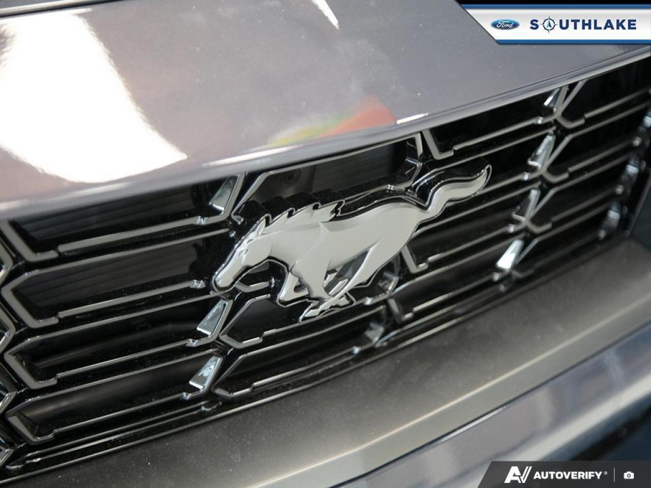 2025 Ford Mustang Dark Horse 2dr Fastback Photo