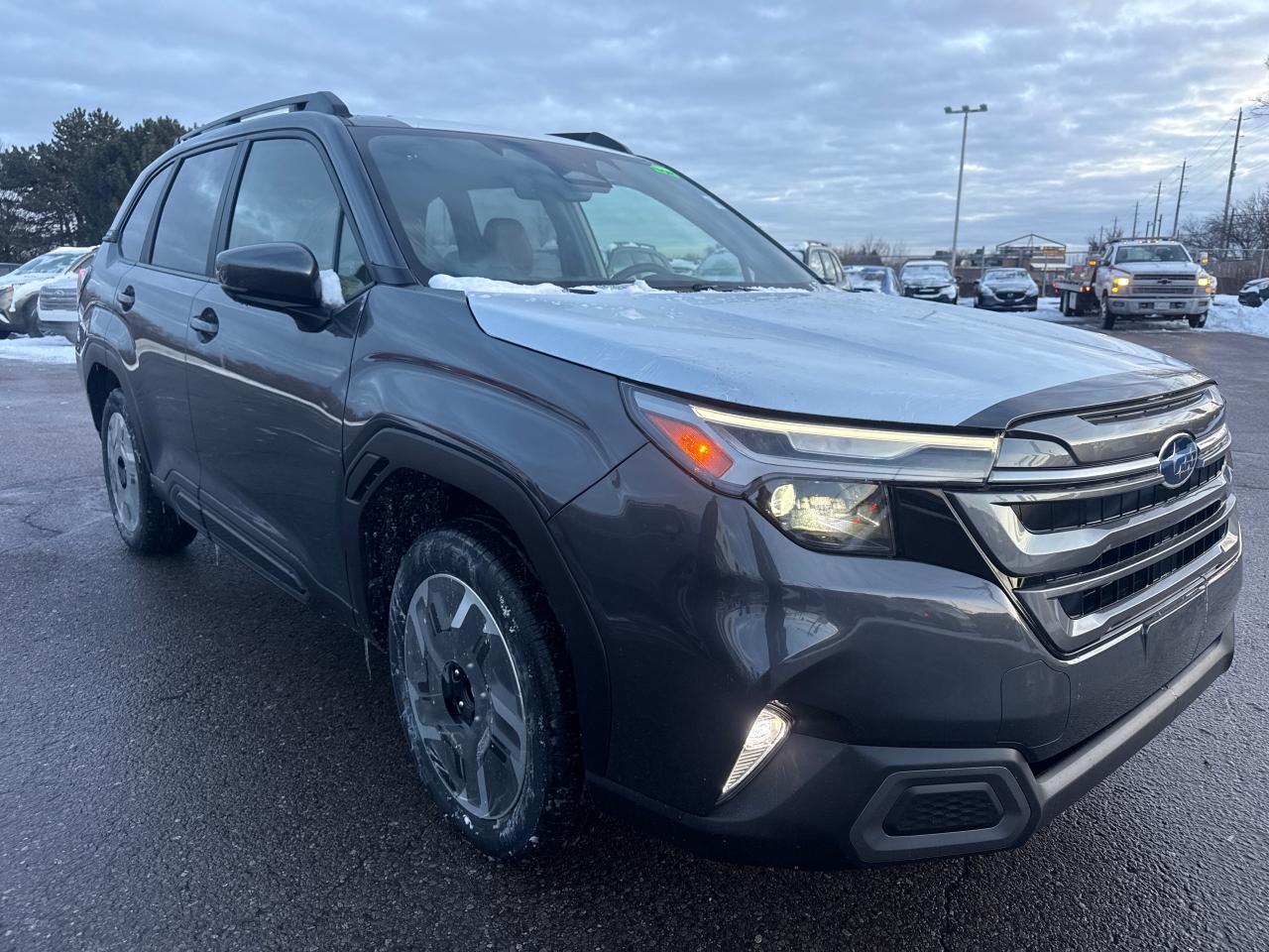 2026 Subaru Forester Limited 4dr All-Wheel Drive Photo