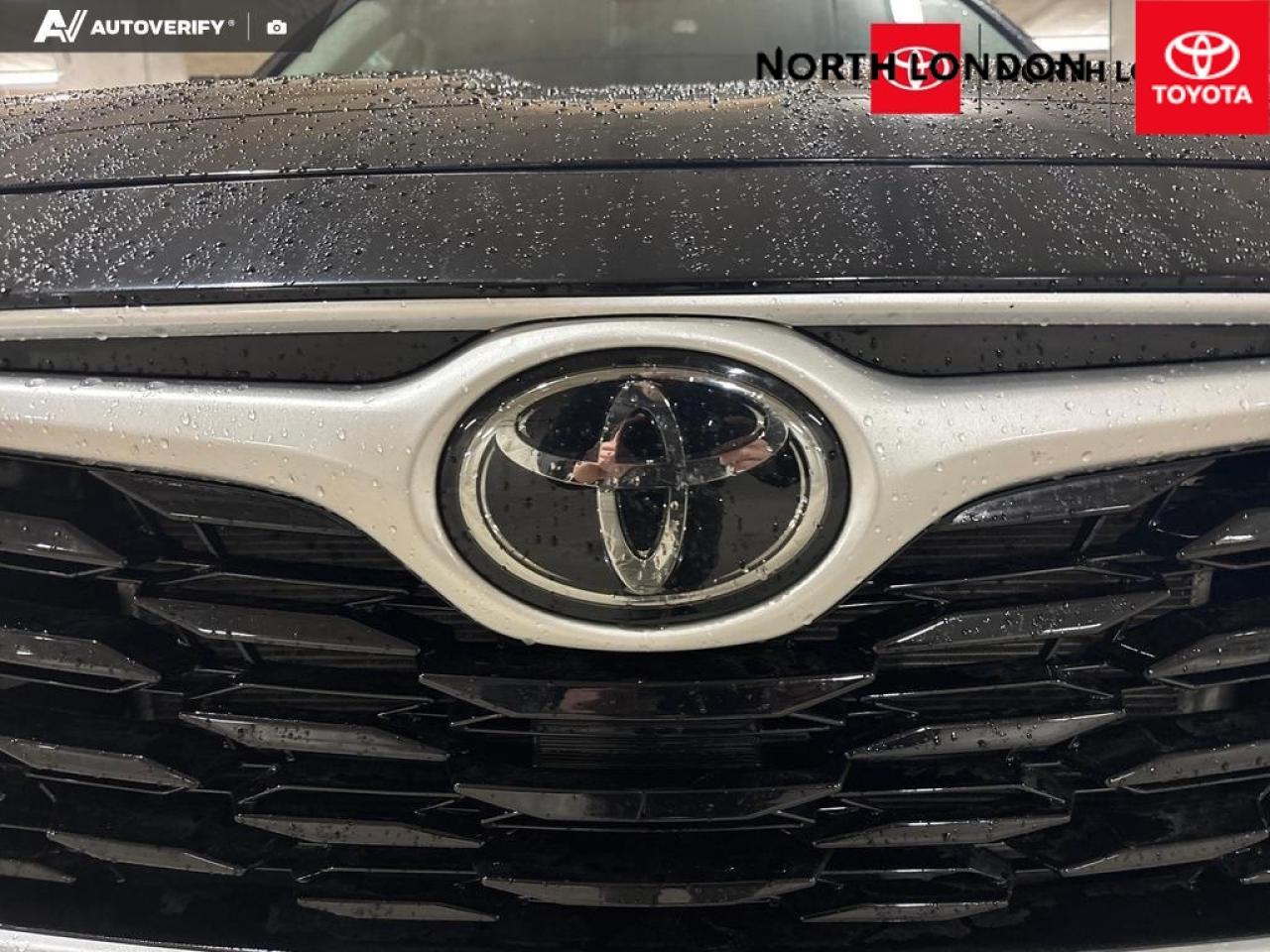 2023 Toyota Highlander  Photo