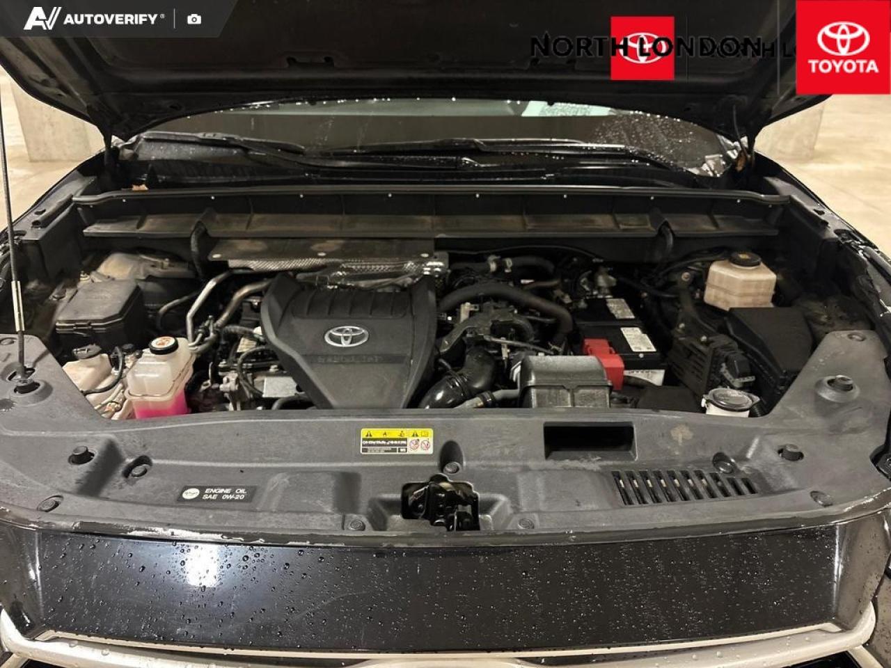 2023 Toyota Highlander  Photo