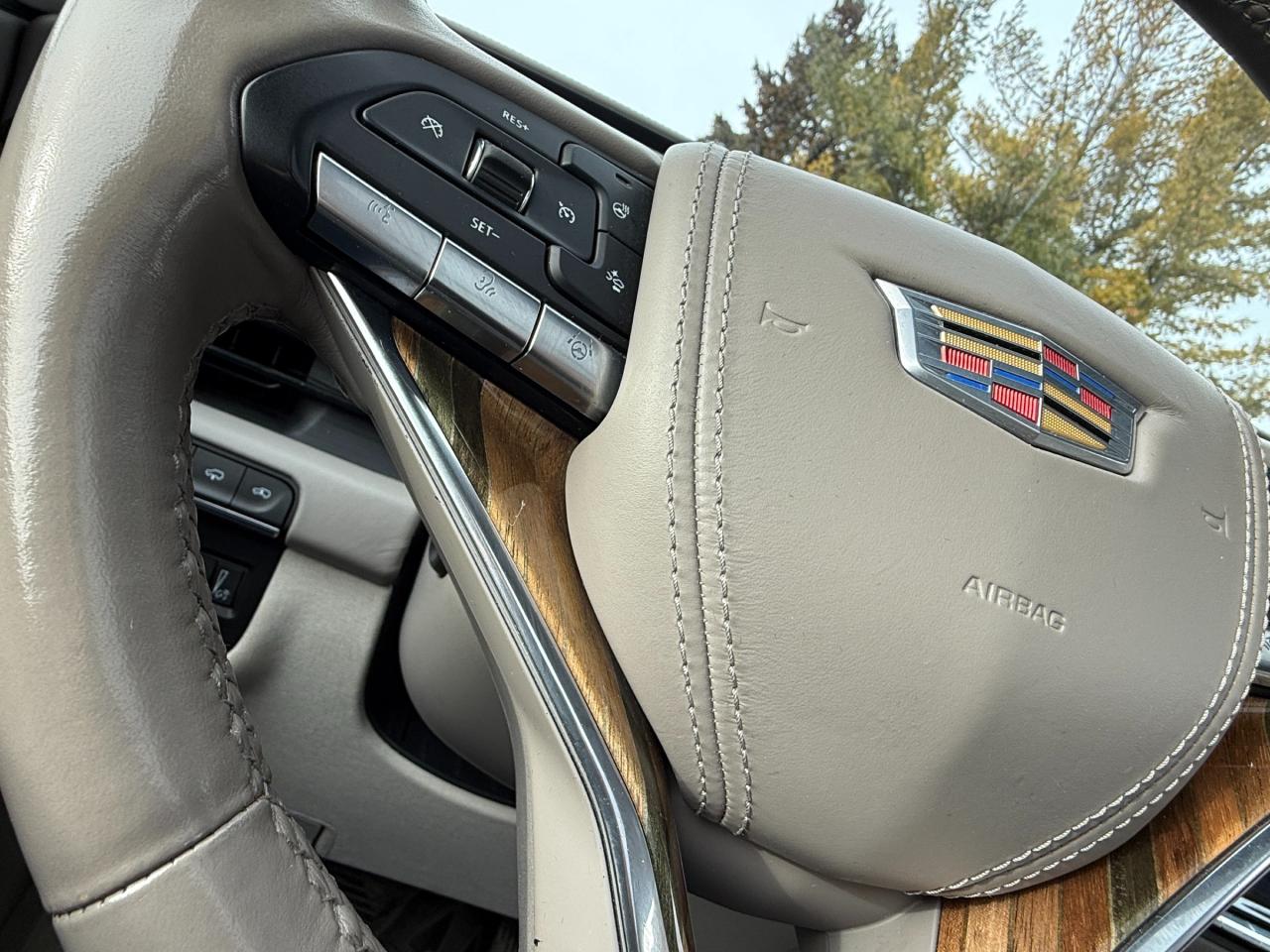 2022 Cadillac Escalade ESV Sport Platinum 4x4 Photo