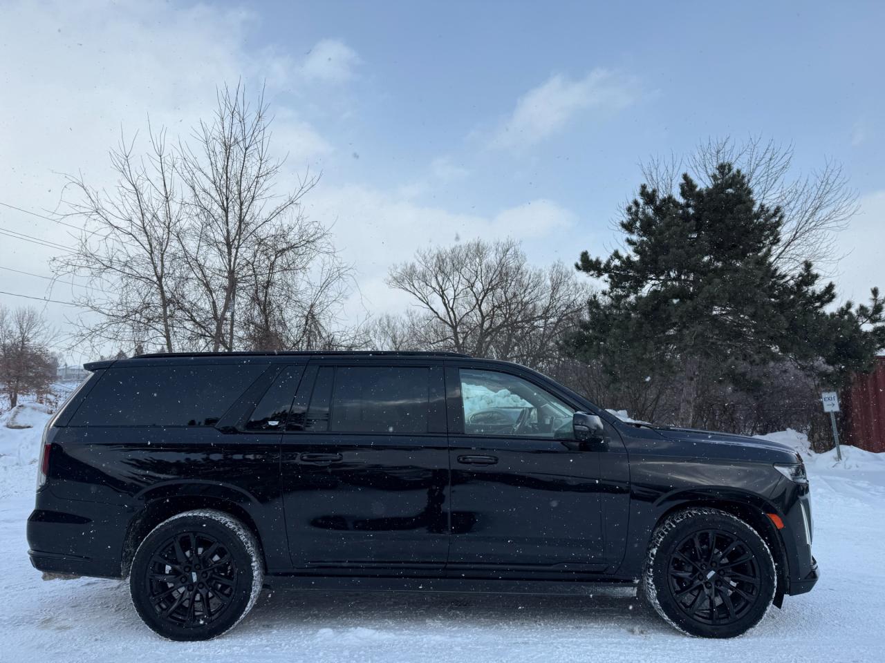 2022 Cadillac Escalade ESV Sport Platinum 4x4 Photo
