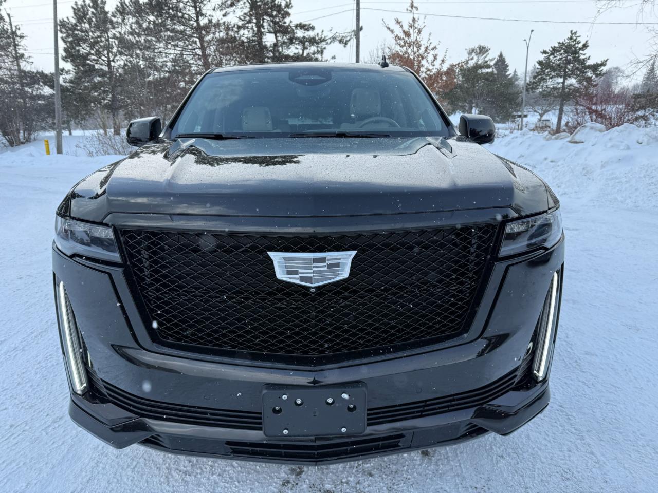 2022 Cadillac Escalade ESV Sport Platinum 4x4 Photo