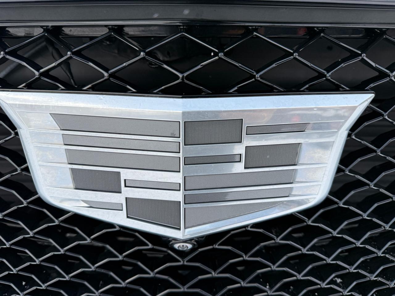 2022 Cadillac Escalade ESV Sport Platinum 4x4 Photo