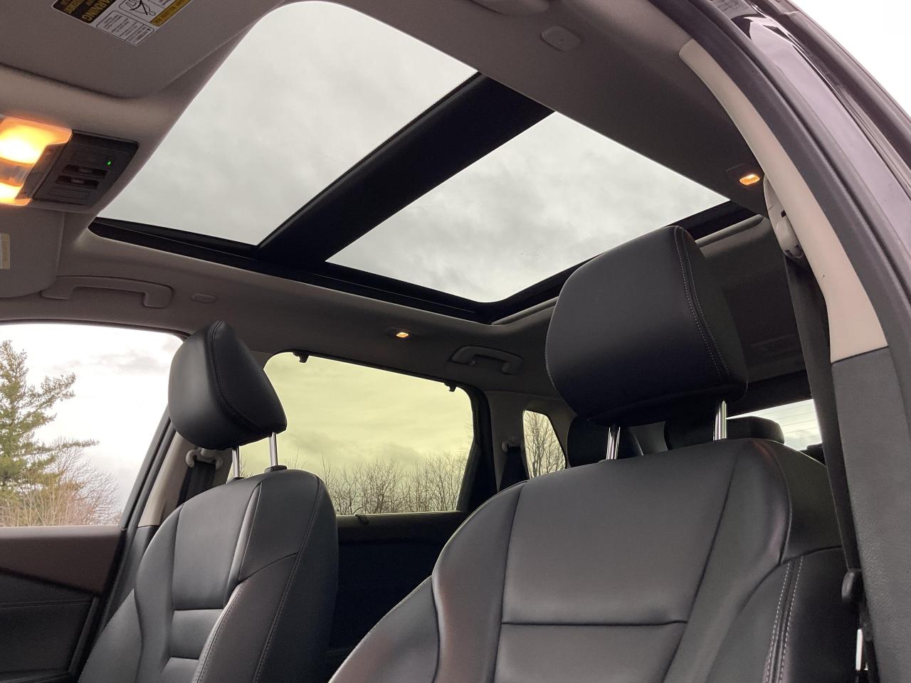 2023 Nissan Rogue  Photo