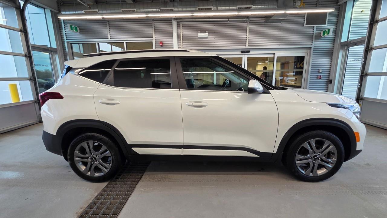 2023 Kia Seltos EX 4dr Front-Wheel Drive Photo