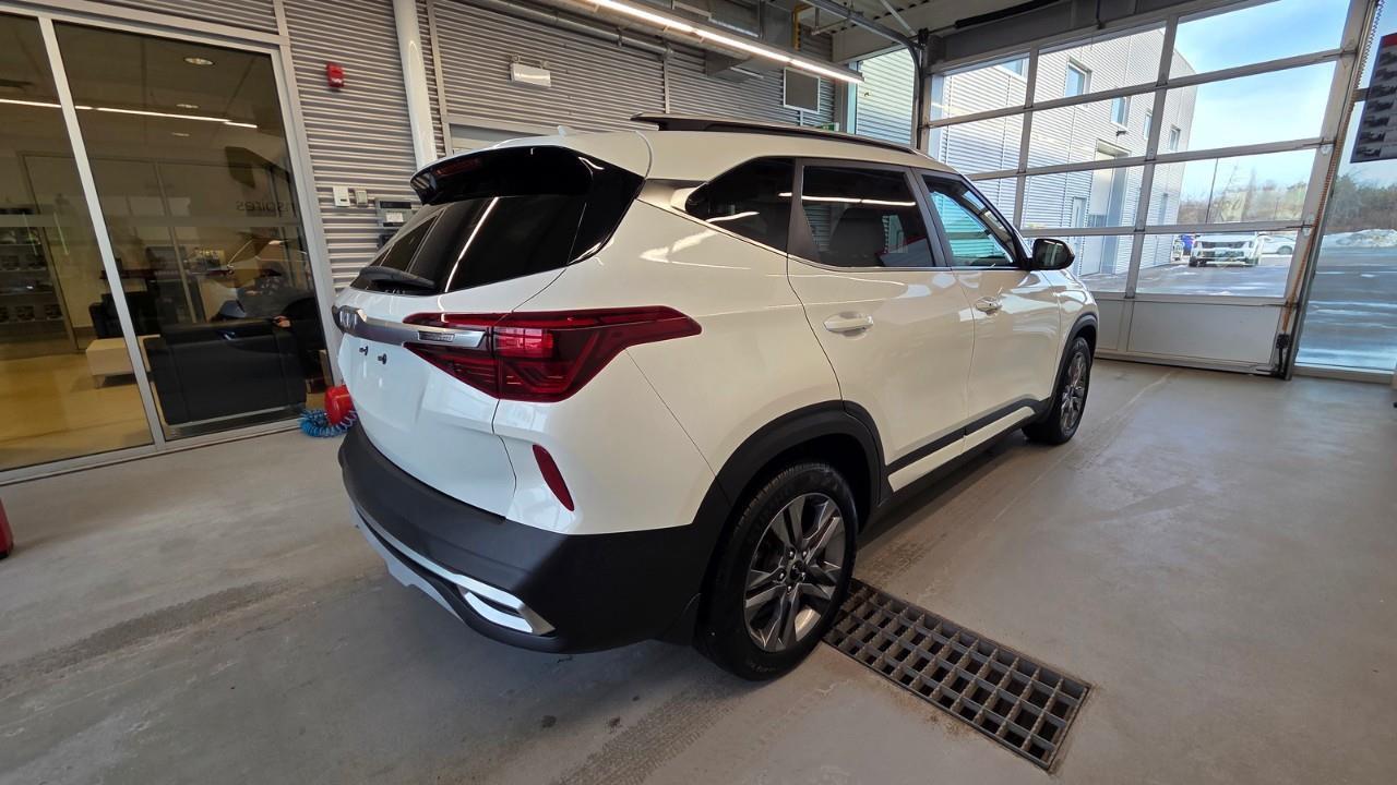 2023 Kia Seltos EX 4dr Front-Wheel Drive Photo4