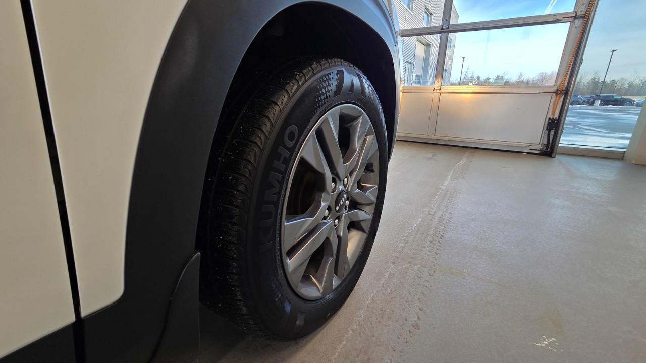 2023 Kia Seltos EX 4dr Front-Wheel Drive Photo