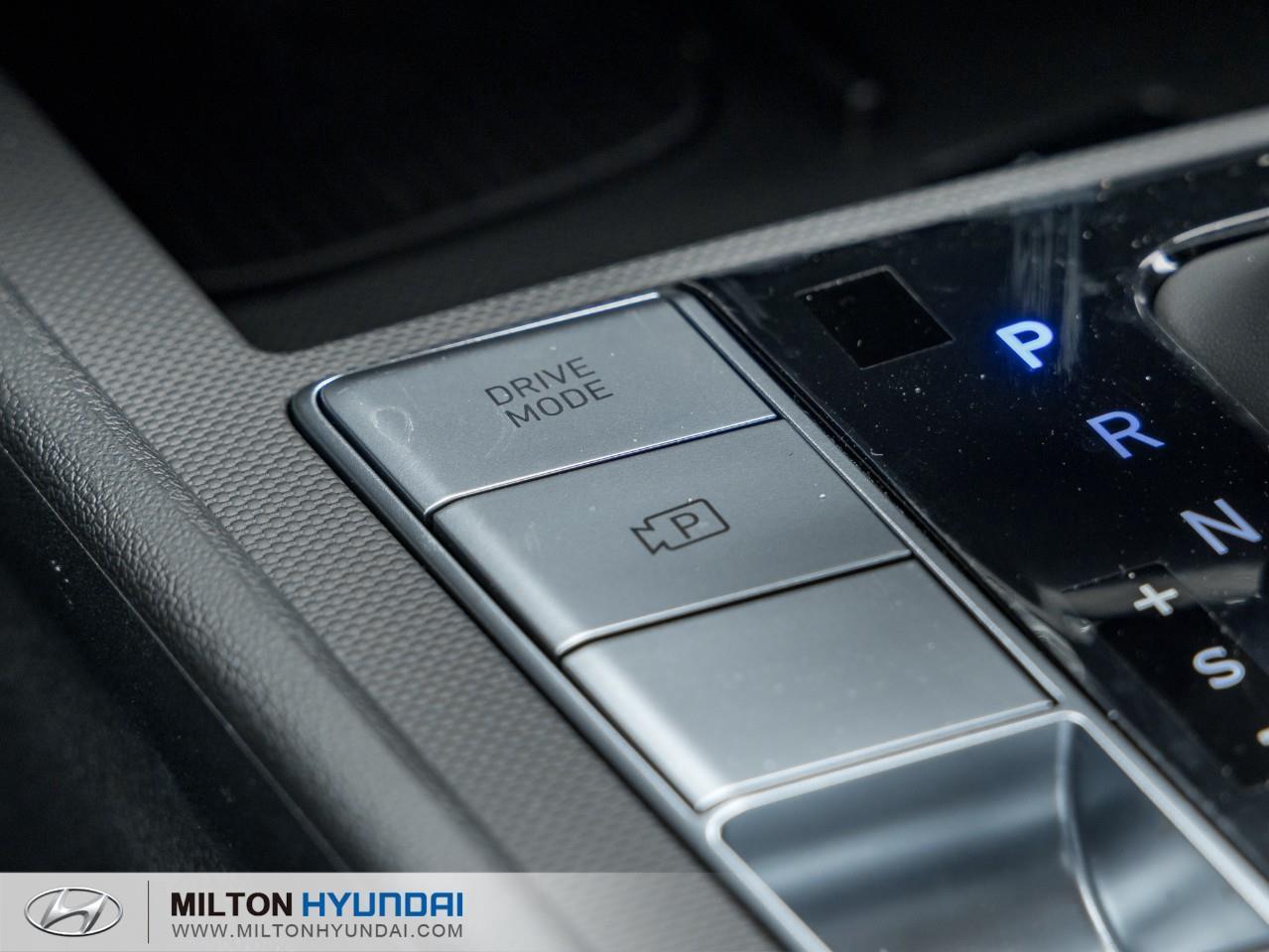 2026 Hyundai Elantra  Photo