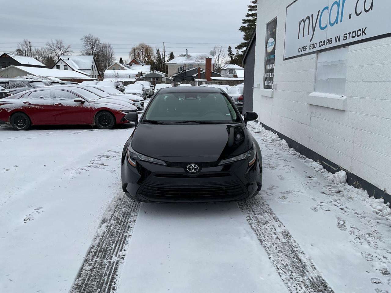 2023 Toyota Corolla  Photo