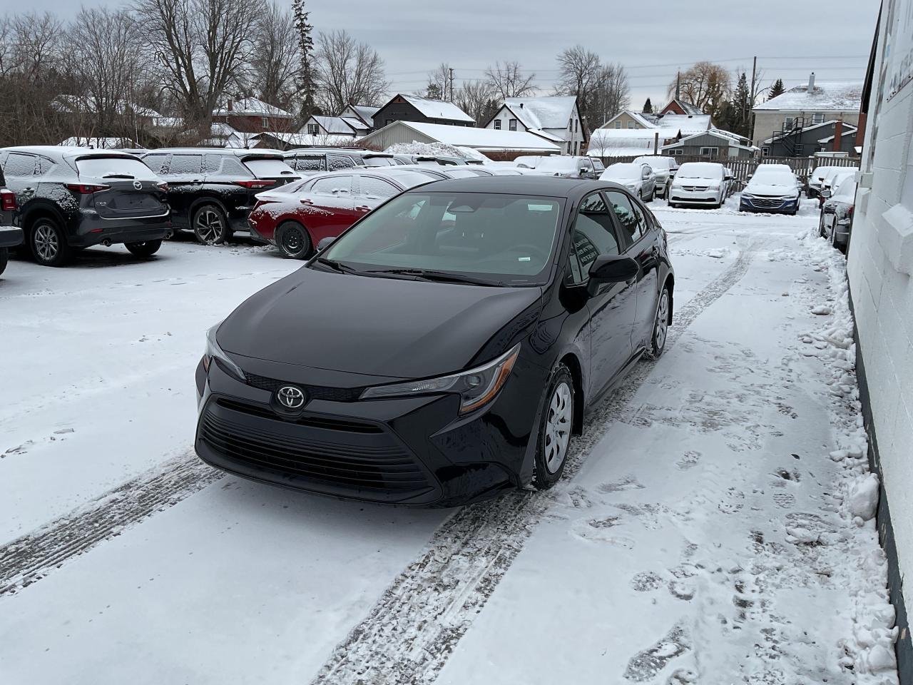 2023 Toyota Corolla  Photo