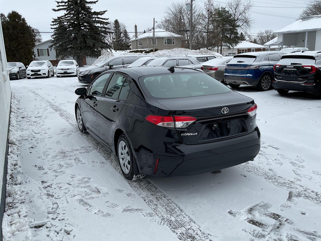 2023 Toyota Corolla  Photo