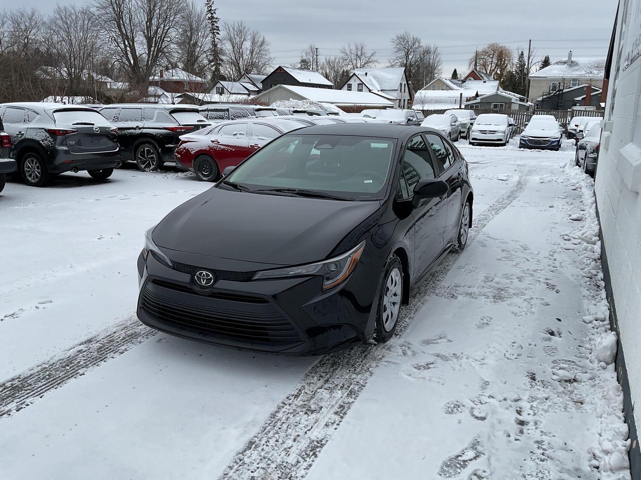 2023 Toyota Corolla  Photo