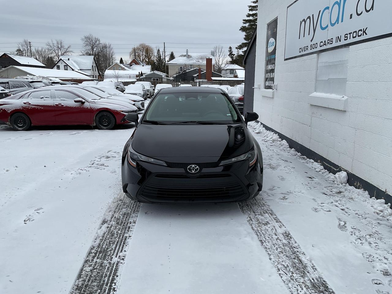 2023 Toyota Corolla  Photo