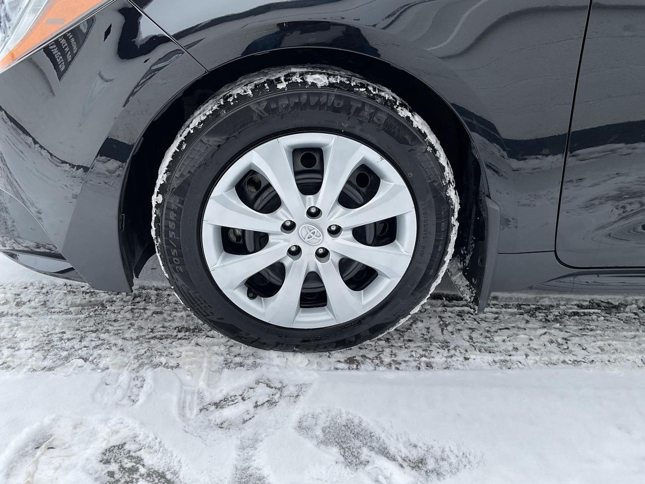 2023 Toyota Corolla  Photo